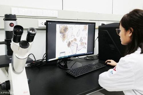Tăng giá trị cho dược liệu của Việt Nam