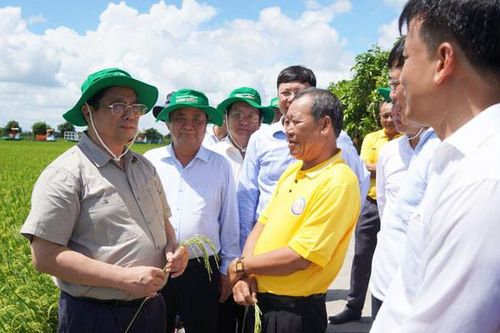 Thành lập Trung tâm đầu mối nông sản và thủy sản nước ngọt vùng Đồng Tháp Mười