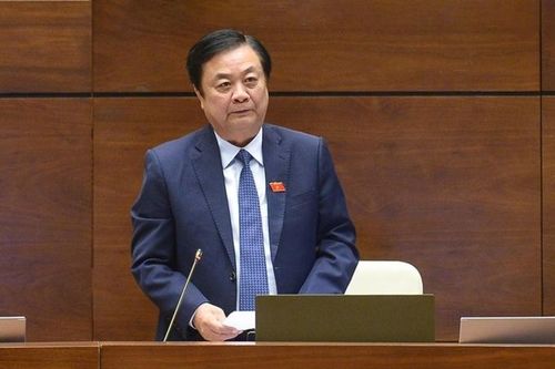 Giá gạo tăng là cơ hội cải thiện thu nhập đối với người nông dân