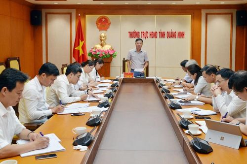 Quảng Ninh: Triển khai giám sát việc thực hiện một số nghị quyết của HĐND tỉnh về an sinh xã hội