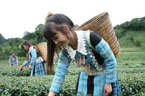 Thi đua yêu nước tạo động lực vượt khó của đồng bào dân tộc Đà Bắc