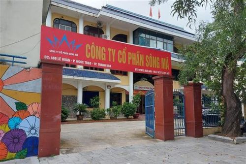 Công ty CP Sông Mã khiến nhiều quan chức 'ngã ngựa'