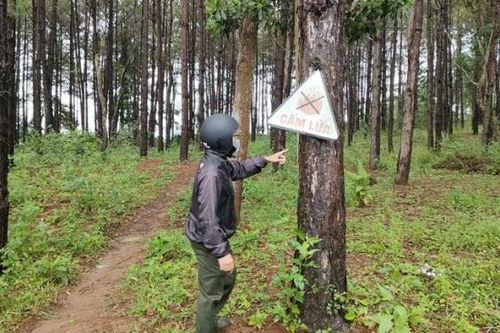 Giá trị lô đất trong vụ án thẩm phán đòi 500 triệu để xử thắng kiện