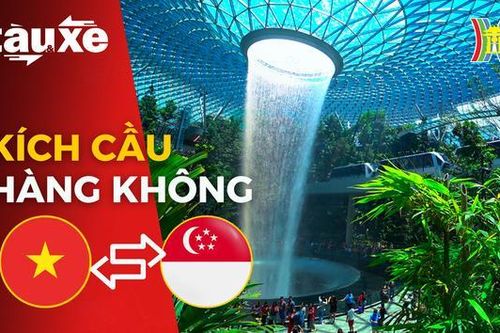 Kích cầu đi lại hàng không giữa Việt Nam và Singapore | Bản tin Tàu và Xe | 15/08/2023