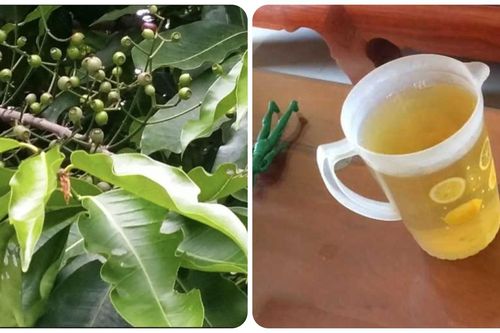 Nước vối có công dụng gì?