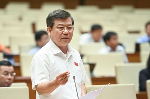 Viện trưởng Lê Minh Trí lần thứ 10 trả lời kỳ án gỗ trắc ở Quảng Trị