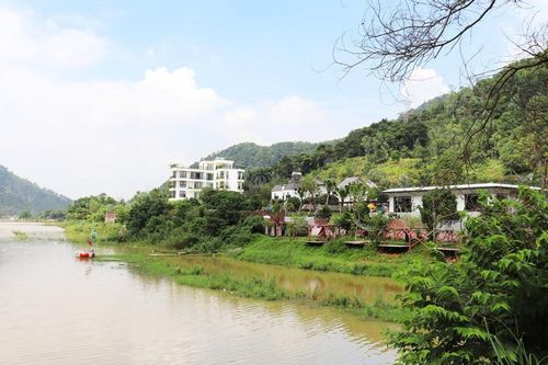 Vi phạm đất rừng ở Sóc Sơn: Cần xử lý tận gốc