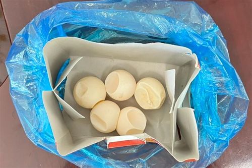 Đi Côn Đảo mua trứng vích mang về, mẹ chồng con dâu bị khởi tố