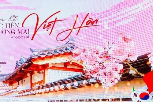 Sắp diễn ra tuần lễ xúc tiến thương mại Việt Hàn năm 2023 tại Hải Phòng