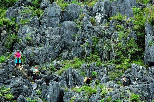 Tiếp tục bảo tồn Công viên địa chất toàn cầu Cao nguyên đá Đồng Văn gắn với phát triển du lịch