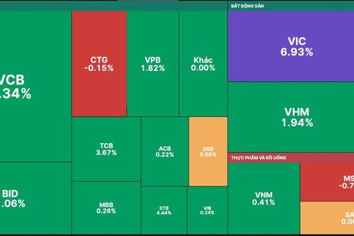 VIC tăng trần sau khi VinFast lên sàn Nasdaq