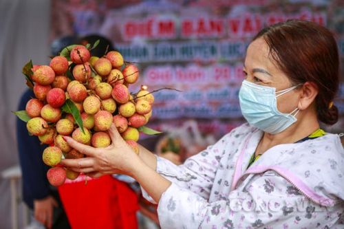 Điều gì đã giúp nông sản Bắc Giang 'thắng thế' trên sân nhà?
