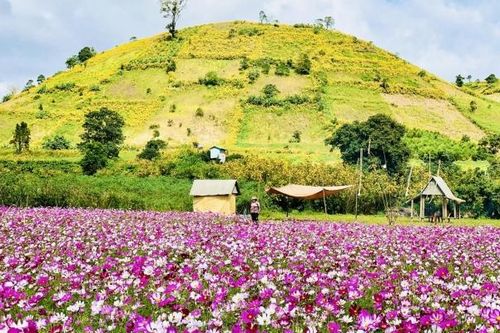 Cung đường ở giải chạy Gia Lai City Trail 2023 'Giấc mơ đại ngàn' có gì đặc biệt?
