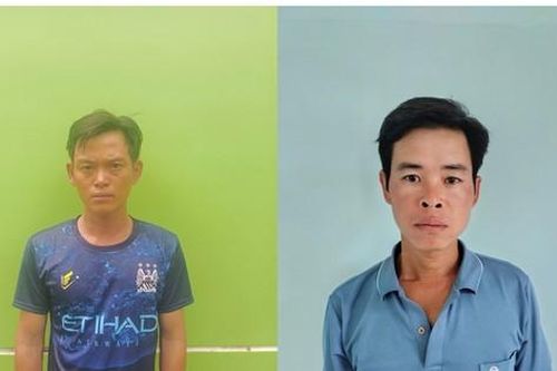 Thiếu mồi, hai 'bợm nhậu' vào rừng săn 6 cá thể chim trong Sách đỏ