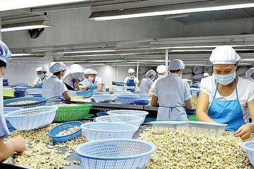 Phát hiện nhóm đối tượng nước ngoài lập trang web lừa mua nông sản