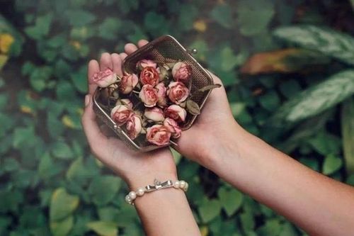 Ghi nhớ 20 lời Phật dạy để có cuộc sống an nhiên