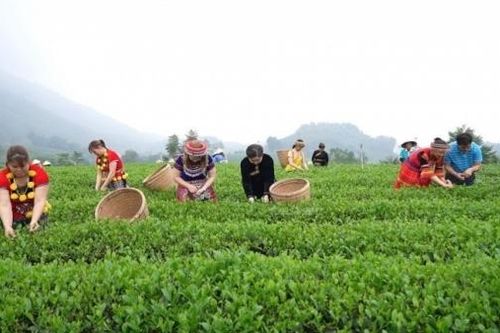 Thái Nguyên có 6 điểm du lịch cộng đồng được công nhận