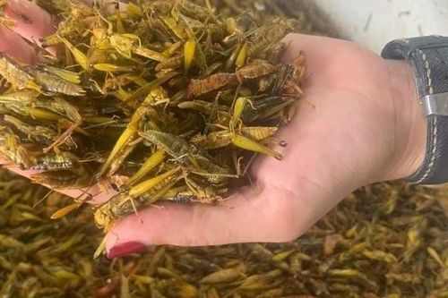 Những loại thực phẩm dễ 'đoạt mạng' người ăn
