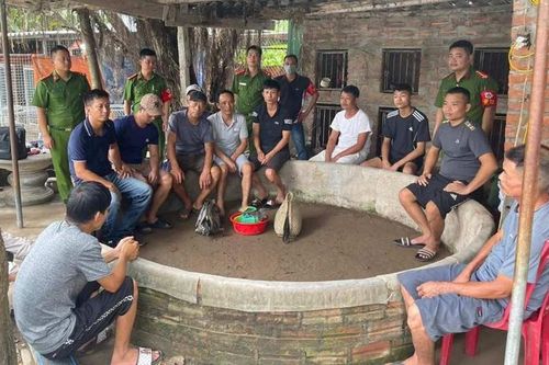 Bắt giữ nhóm đối tượng đá gà ăn tiền