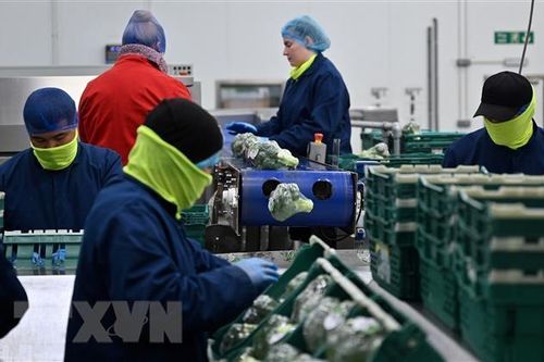 Tỷ lệ thất nghiệp tại Anh tăng cao nhất trong hai năm qua
