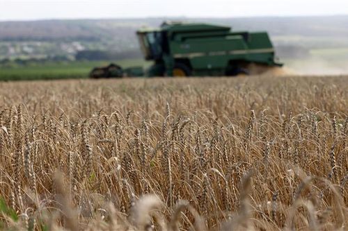 Latvia có thể bắt đầu xuất khẩu ngũ cốc Ukraine vào mùa Thu