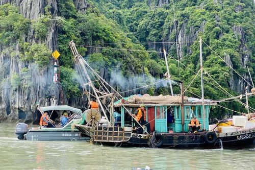 Quảng Ninh: Lập lại trật tự giao thông đường thủy ven bờ Vịnh Hạ Long