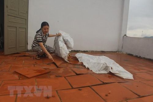 Thanh Hóa: Giải quyết dứt điểm tồn tại, vướng mắc tại cao tốc Bắc-Nam