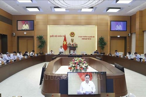 Nghiên cứu hình thức giám sát, phản biện xã hội sát với thực tiễn