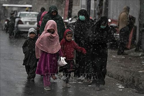 Các tổ chức quốc tế kêu gọi đảm bảo quyền của nữ giới ở Afghanistan