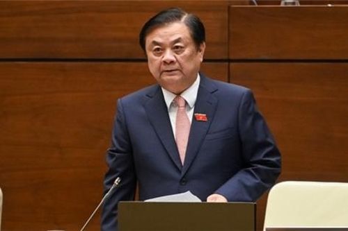 Nông sản cần liên kết thay vì 'giải cứu'