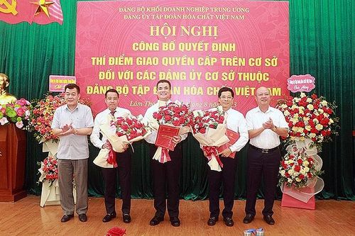 Thí điểm giao quyền với Đảng ủy cơ sở thuộc Đảng bộ Tập đoàn Hóa chất Việt Nam