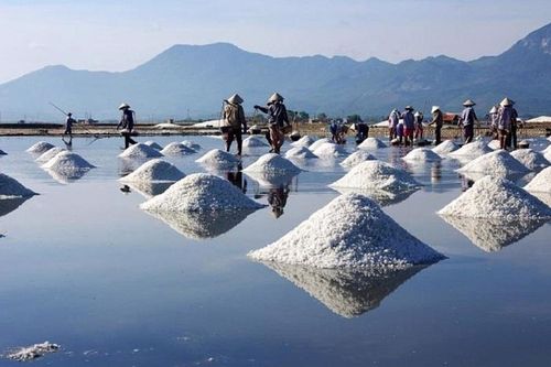 Tăng giá trị cho hạt muối, cần đầu tư vào chế biến sâu, tạo ra nhiều sản phẩm mới
