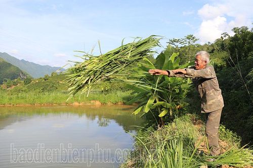 Già làng làm kinh tế giỏi