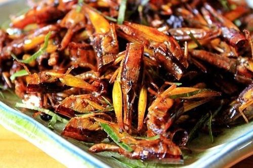 Ăn cào cào, một người phụ nữ bị sốc phản vệ, tử vong