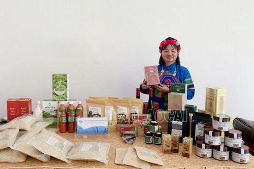 1 dự án của Lào Cai lọt vào vòng chung kết cấp vùng Cuộc thi 'Phụ nữ khởi nghiệp, phát huy tài nguyên bản địa' năm 2023