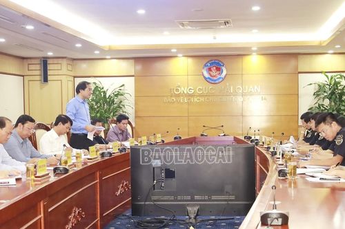 Tỉnh Lào Cai làm việc với Tổng cục Hải quan về công tác xuất - nhập khẩu