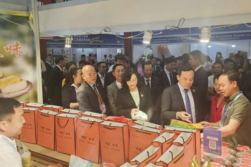 Phó Chủ tịch Thường trực UBND tỉnh Lào Cai Hoàng Quốc Khánh tháp tùng Phó Thủ tướng Trần Lưu Quang dự Lễ Khai mạc Hội chợ Trung Quốc - Nam Á lần thứ 7