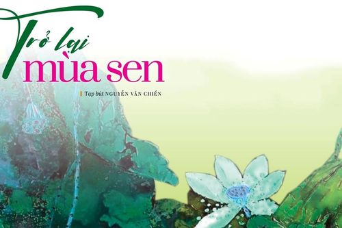 Trở lại mùa sen