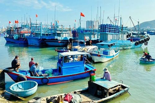 Khánh Hòa: Kiểm tra công tác phòng, chống thiên tai