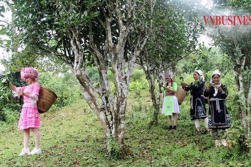 Chuyện giảm nghèo của nông dân Na Hang