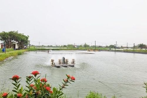 Phát huy vai trò của HTX trong cộng đồng giáo dân tại Nam Định