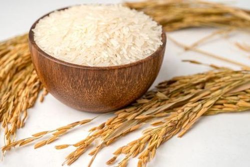 Bình ổn thị trường nội địa và xuất khẩu gạo