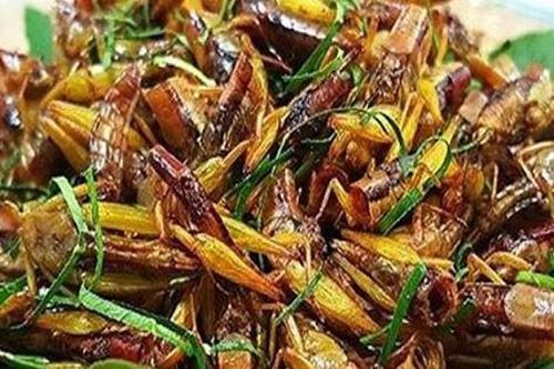 Người phụ nữ tử vong sau khi ăn 'đặc sản' châu chấu chiên giòn