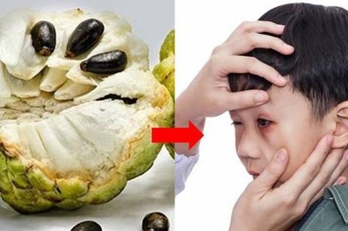 Tại sao phải cẩn trọng với hạt na?