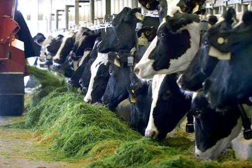 'Chìa khóa' góp phần giúp Đông Nam Á vượt qua khủng hoảng khí hậu