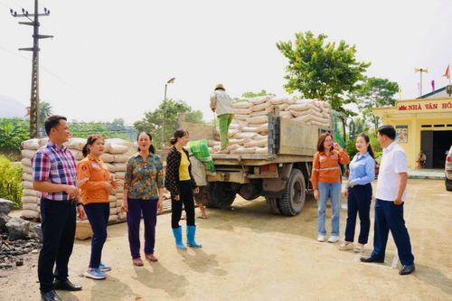Hỗ trợ 3.000 tấn xi-măng xây dựng nông thôn mới