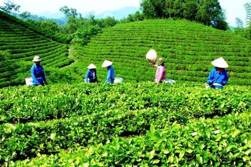 Thái Nguyên phấn đấu đến năm 2030 sẽ đón 5,6 triệu lượt du khách