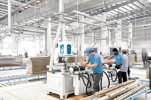 Lợi nhuận Quý 2 giảm 31,6%, Gỗ An Cường (ACG) lại vừa bị phạt và truy thu thuế 2 tỷ đồng