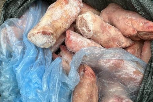 Lạng Sơn: Phối hợp kiểm tra, kịp thời ngăn chặn 1,5 tấn móng giò lợn không rõ nguồn gốc