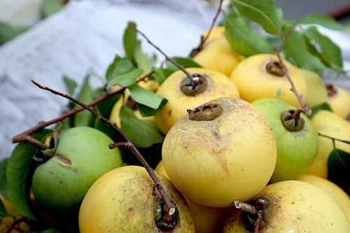 Những món quà tuổi thơ xuống phố 'đón' thu Hà Nội